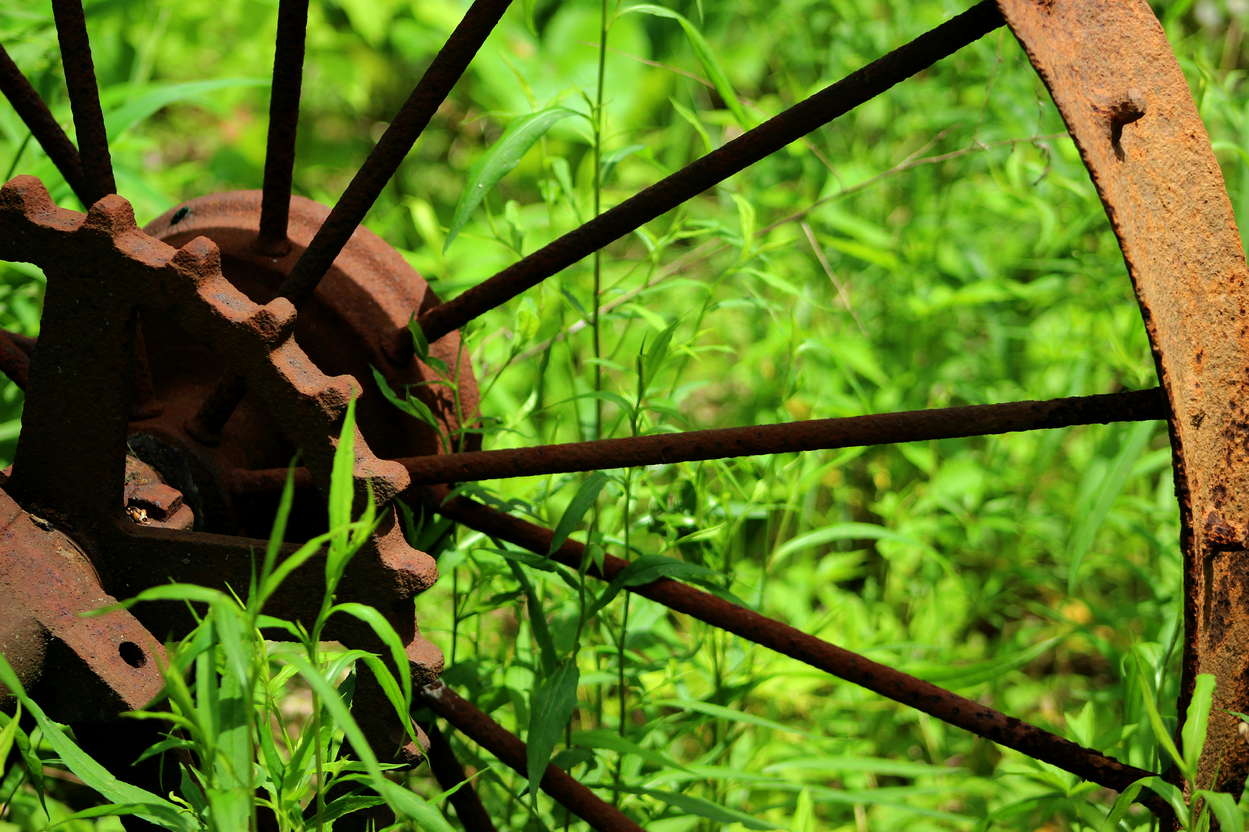 The Garden and the Flywheel: Building the Flywheel Economics Toolkit
